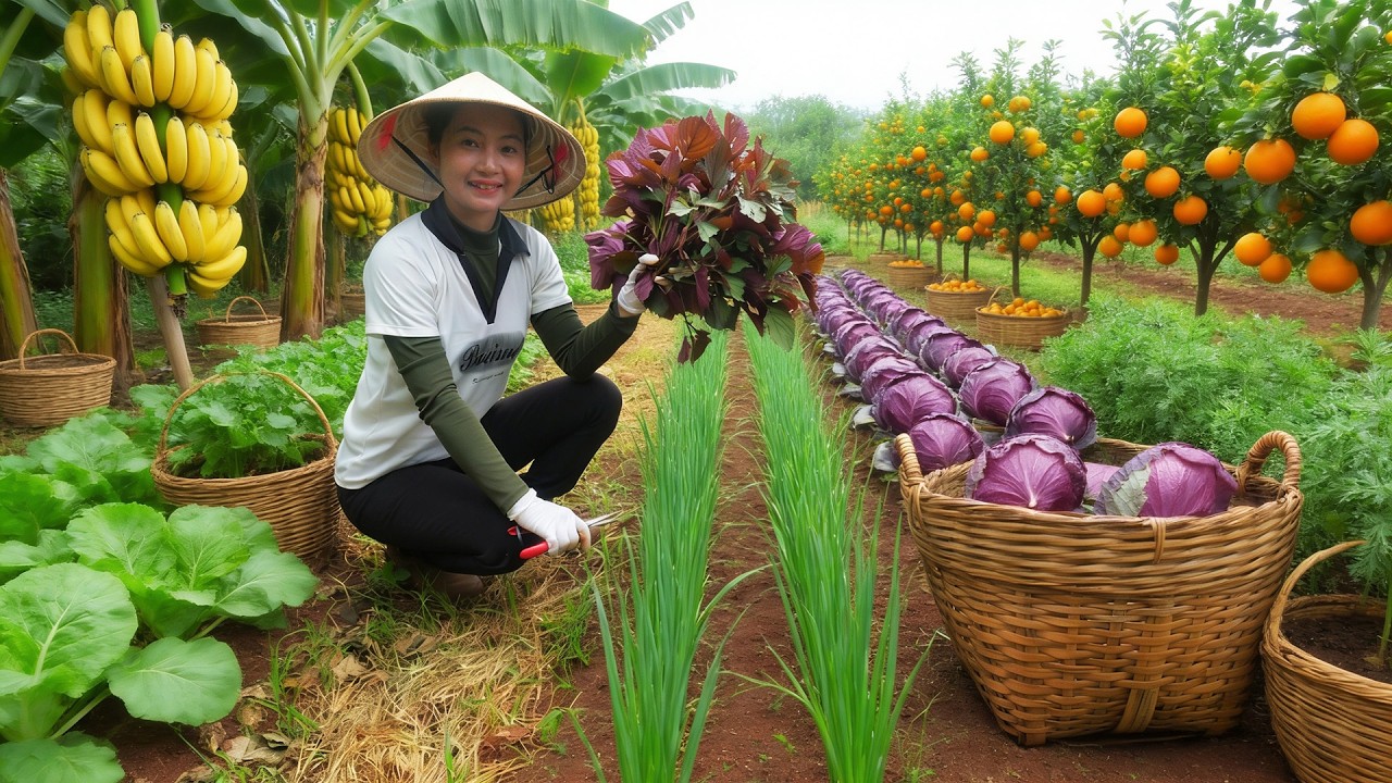 120 Days Planting, Harvest, Sell, And Cook: Perilla, Bananas, Vietnamese Balm, Leek, Kale, Oranges
