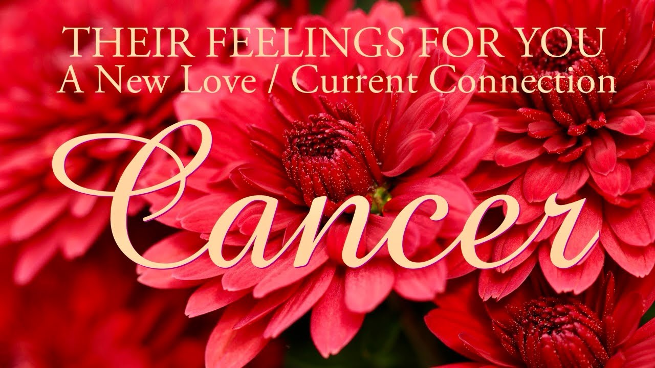 CANCER love tarot ♋️ This Person Feels That They Should Share More With You