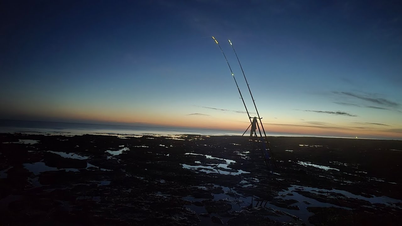 Smooth Hound fishing on the North Kent coast using live hardback crabs on the Dongle!