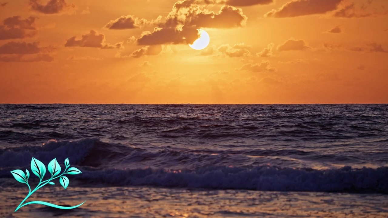 Deep Sea Dreams • Minimalist Ambient & Ocean Waves