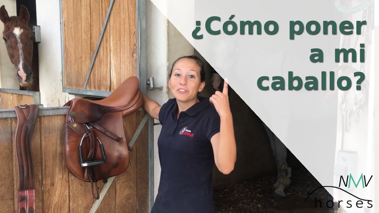 Cómo preparar un caballo I ¡Hoy os enseño a poner a vuestro caballo paso a paso!