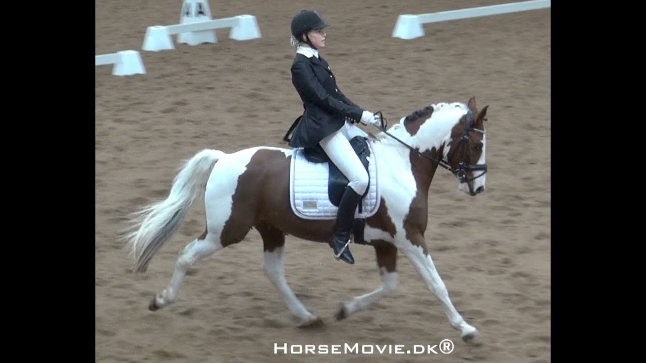 HorseMovie.dk® Dressur PONY #41