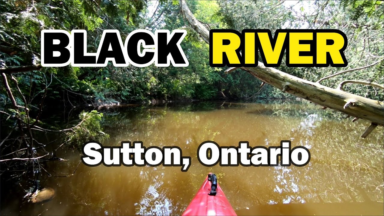 PADDLING THE BLACK RIVER, SUTTON ONTARIO