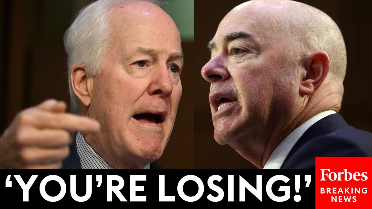 VIRAL MOMENT: John Cornyn Tells Mayorkas 'You Should Be Fired' To His Face