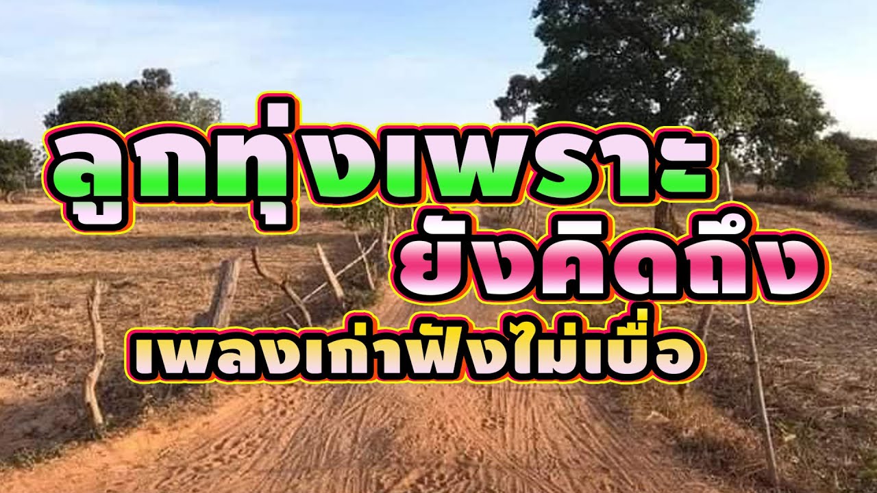 รวมเพลงลูกทุ่งเพราะฟังได้ทุกวัน