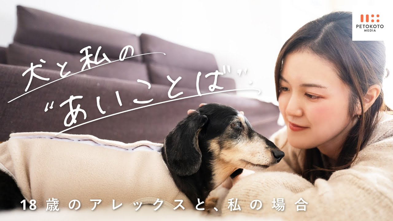 【シニア犬との暮らし】井島さんご家族の当たり前の毎日が大切、シニア犬とのルーティン（ダックスフンド/老犬/犬のいる生活）