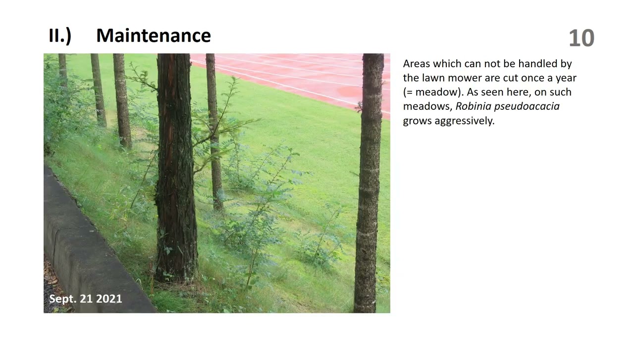 ZwoF Doc no124  Biotope Lawn  Waxcamp Grassland