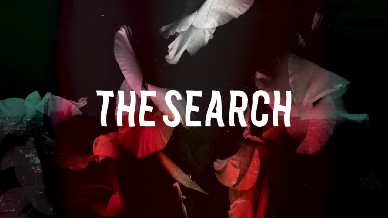 Bearcubs - The Search
