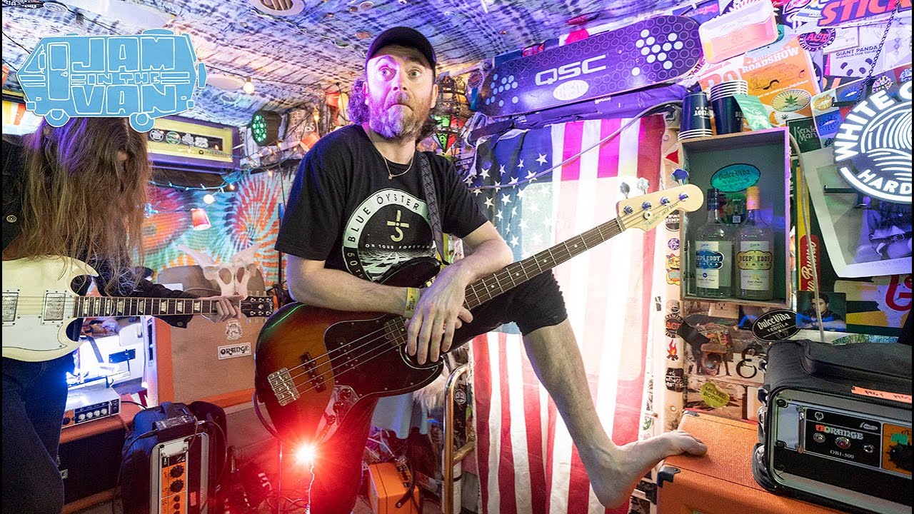 Pigs Pigs Pigs Pigs Pigs Pigs Pigs - 