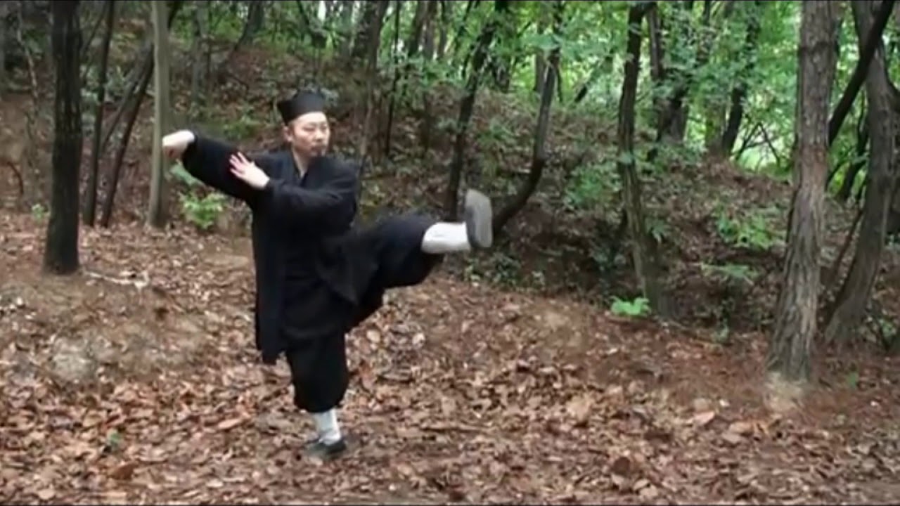 Tai Chi Chuan 108 First Section - Wudang San Feng Pai Grandmaster Zhong Yunlong