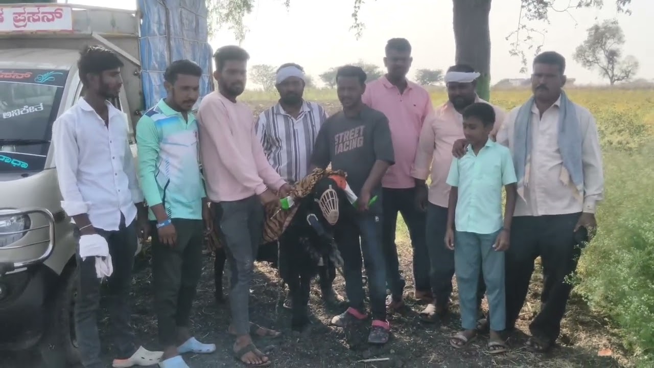 ಕರ್ನಾಟಕದಲ್ಲಿಯೇ ಪ್ರಪ್ರಥಮ ಬಾರಿಗೆ ನವಲಗುಂದದಲ್ಲಿ ಥಾರ್ ಕಣ #tagaru #animals #kana #vlog #karnatakasheep 