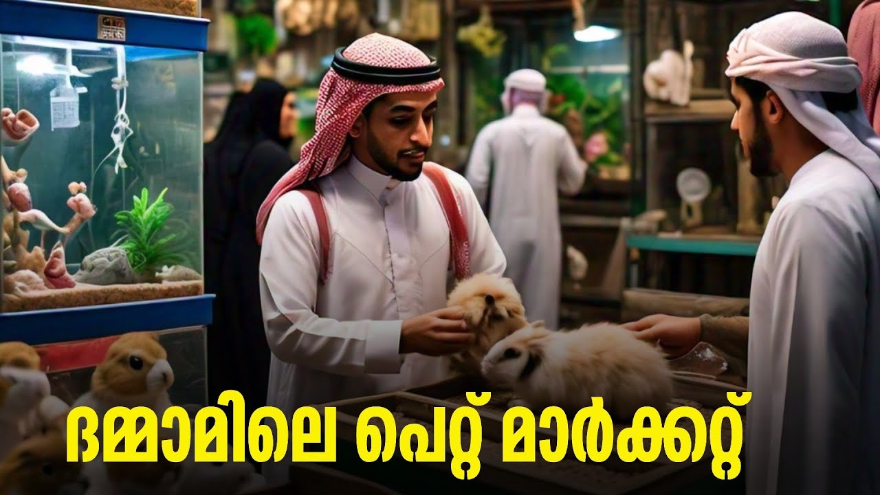 DAMMAM SEICKO MARKET | DAMMAM PET MARKET MALAYALAM | SEICKO MARKET | SUMEER SULAIMAN |
