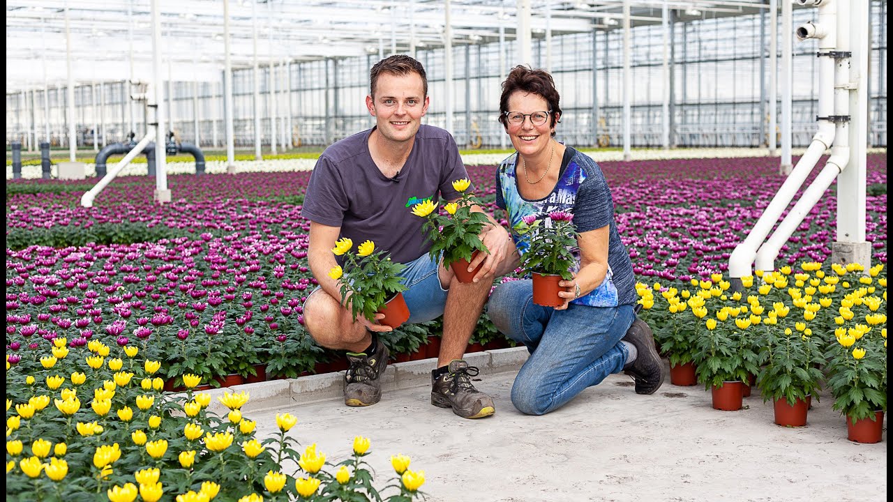 Grower of the month October: Kwintplant