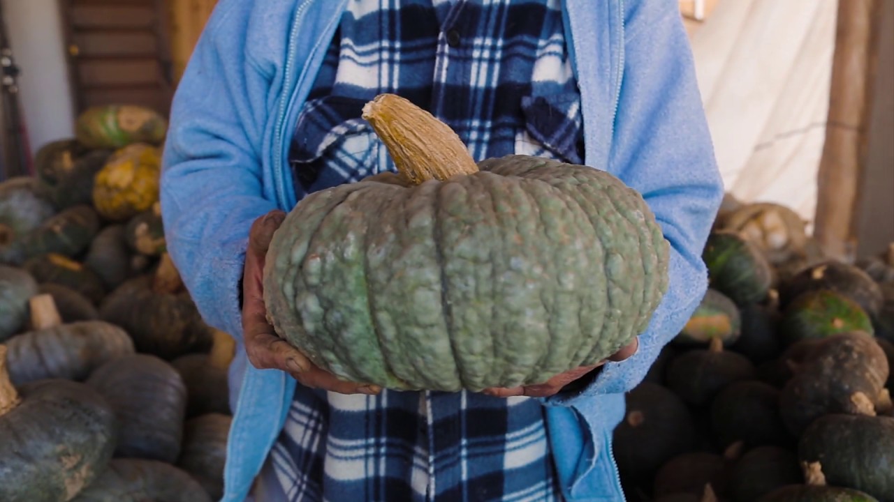 La Zucca Mantovana