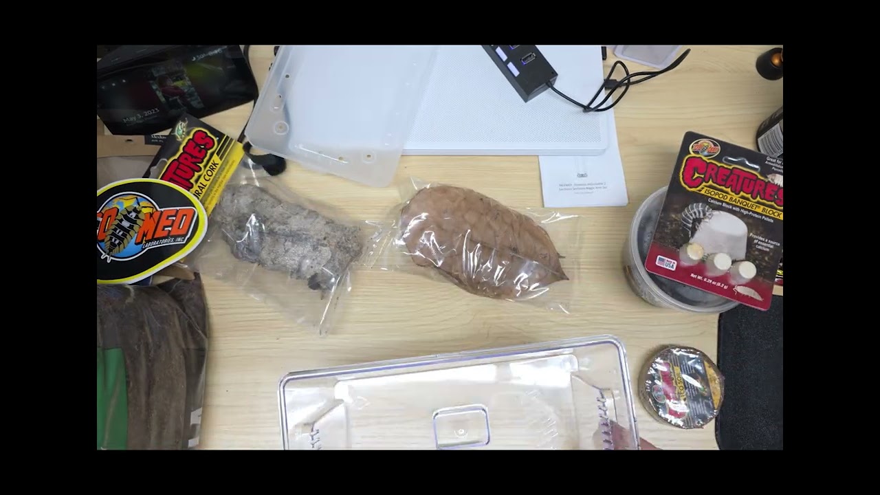 Let's Look at the Zoo Med Roly Poly Kit!!!