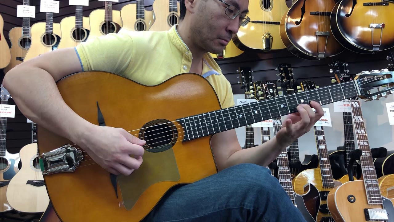 Stringphonic Advanced FV Model  [LAST GUITAR]