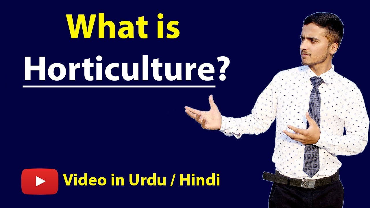 What is Horticulture with Example? Urdu / Hindi