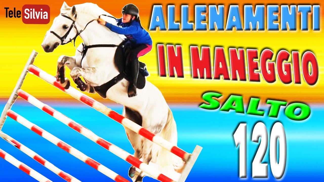 I MIEI ALLENAMENTI SALTANDO 120 cm - Lezione di equitazione salto ostacoli in maneggio
