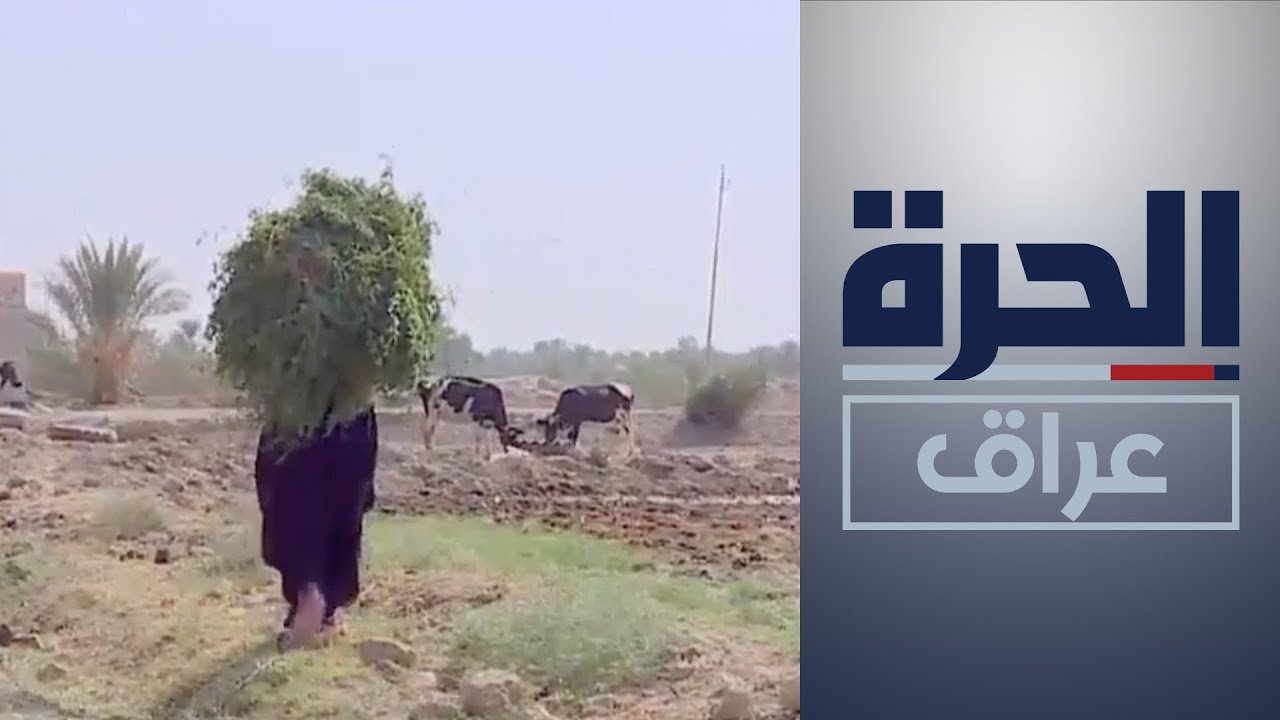 في الديوانية.. مساع حكومية ومدنية لدعم مهارات نساء الريف