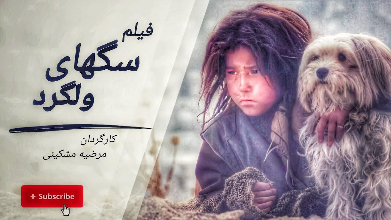 فیلم سگهای ولگرد | STRAY DOGS | روایتی از زنان در افغانستان
