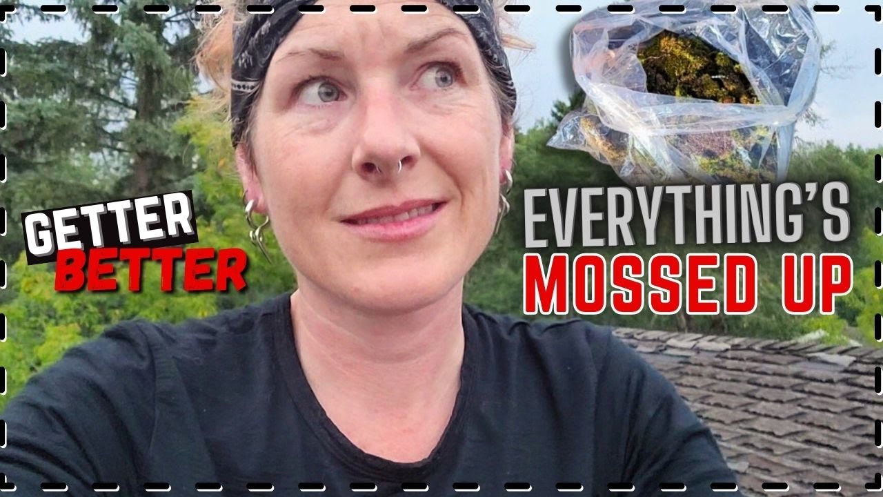 Собачья слюна, туалет кровельщика и проблемы со сваркой