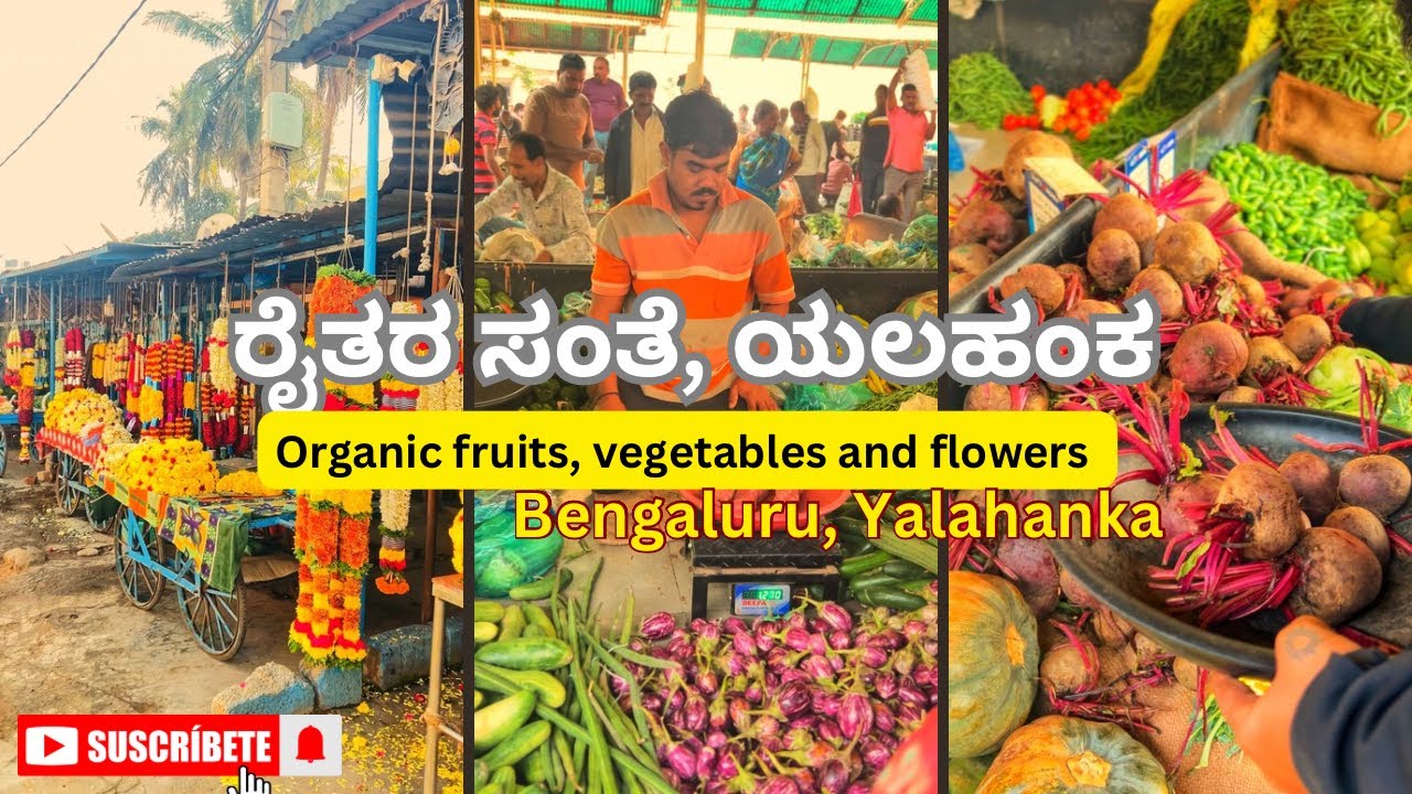 🚜 ರೈತರ ಸಂತೆ ಯಲಹಂಕ | ತಾಜಾ ತರಕಾರಿ, ಹಣ್ಣುಗಳು ಮತ್ತು ಮನೆಮಾಡಿದ ಪದಾರ್ಥಗಳು ಉತ್ತಮ ಬೆಲೆಗೆ! ♥️