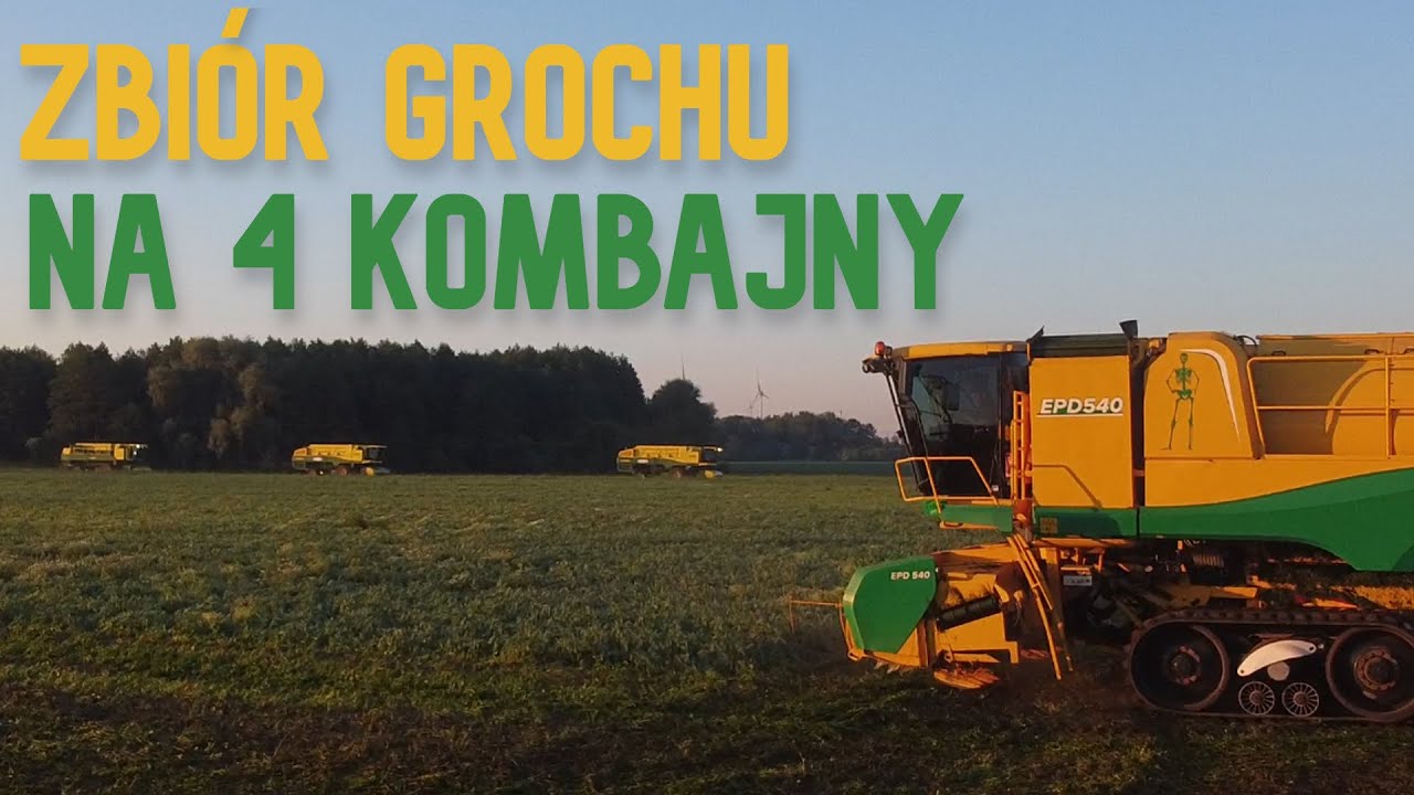 Pierwsze żniwa 2022 - Zbiór groszku na 4 kombajny! @agroturu420