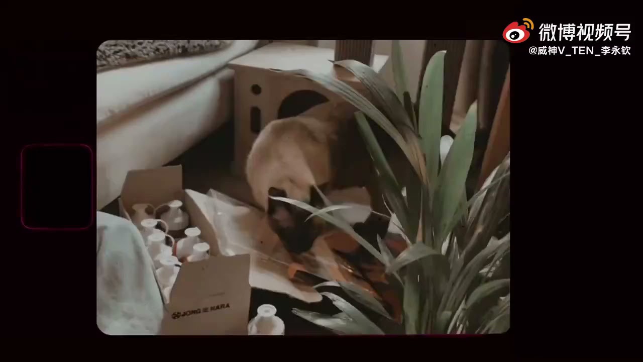 210619 TEN Weibo Update &ldquo;RE-create&rdquo;