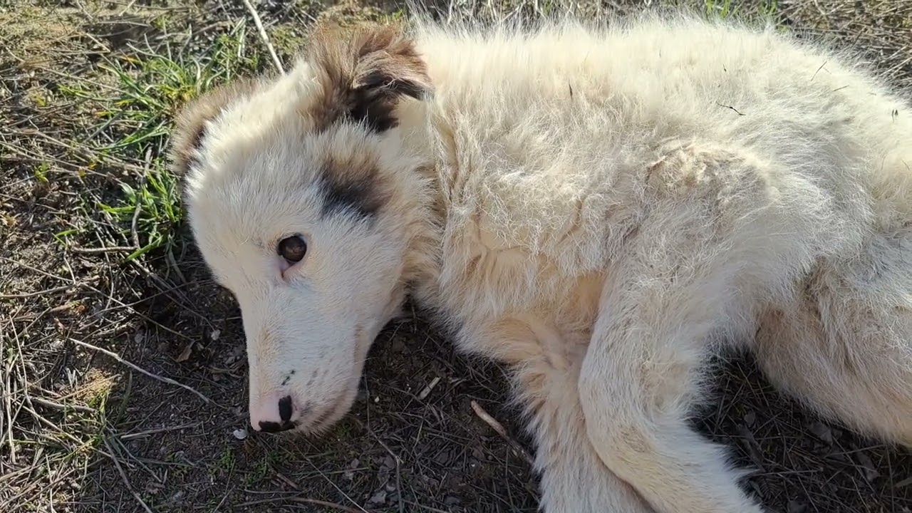 СОЛНЦЕ СВЕТИТ СОЛНЫШКО СИЯЕТ Воздух чистый а Природа даёт энергию силы мое лучшее в жизни людей 