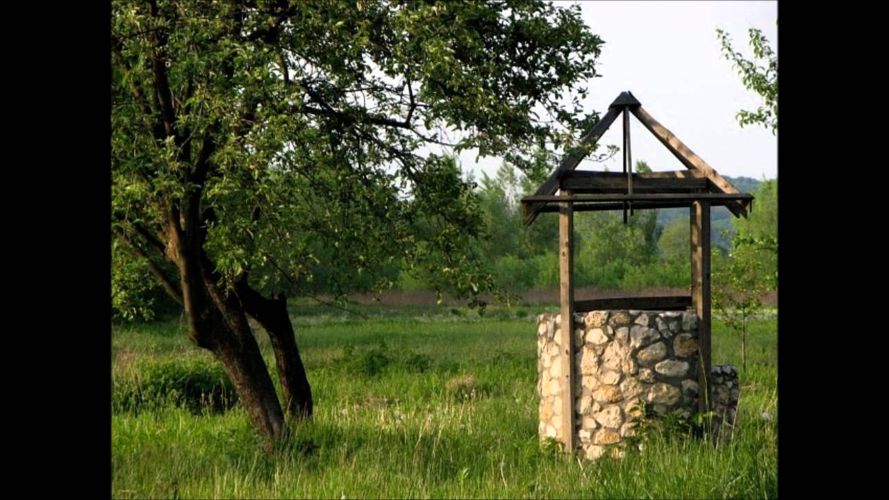 SDM - 