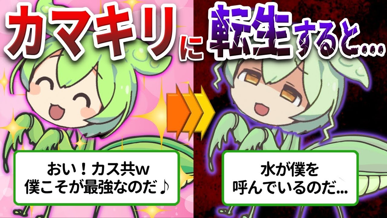 最強の戦闘民族カマキリを操るハリガネムシの恐怖の生態とは⁉【ずんだもん&ゆっくり解説】