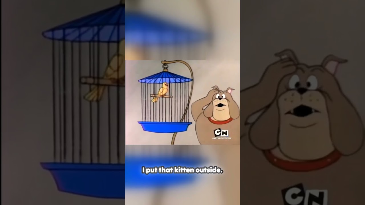 TOM AND JERRY  @AspireMini-toons #entertainment #aspire #fun