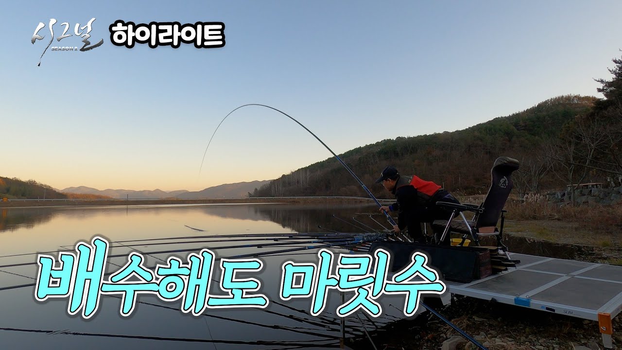 [하이라이트] 시그널2 22회 - 배수해도 마릿수 (2026.01.26.방송)