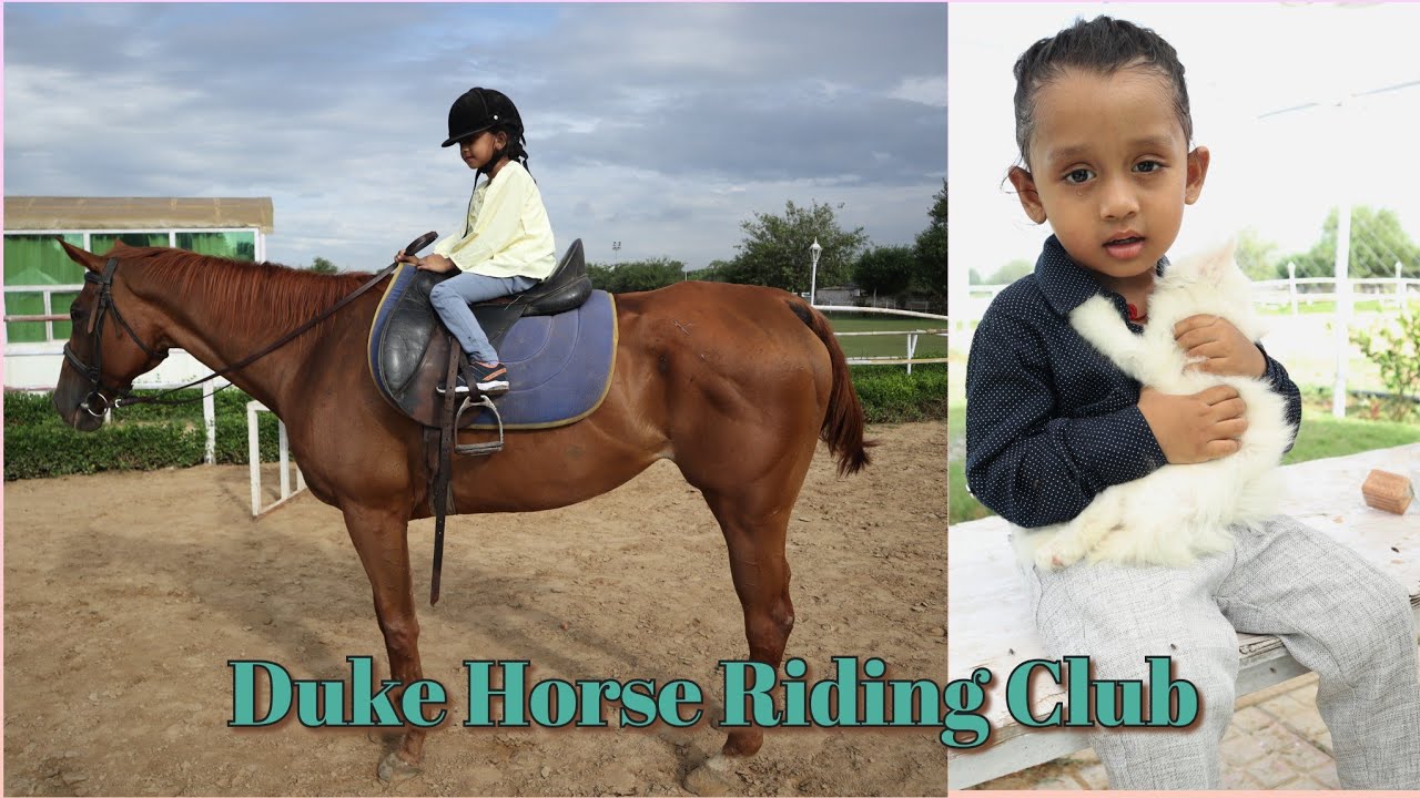 Duke Horse Riding Club Gurgaon | Aaj Alisha Girte-Girte Bachi | Joy Riding | Near Aravali Hills |