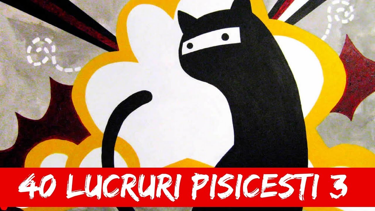 Încă nu ți-ai luat pisica? Uite încă Top 40 Lucruri Uimitoare Despre Pisici #3