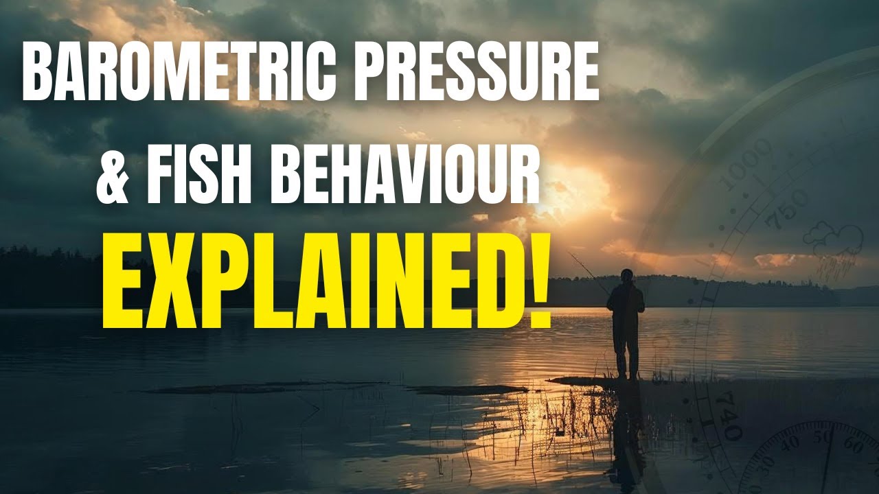 Does Barometric Pressure Actually Affect Fishing? | The Scientific Truth