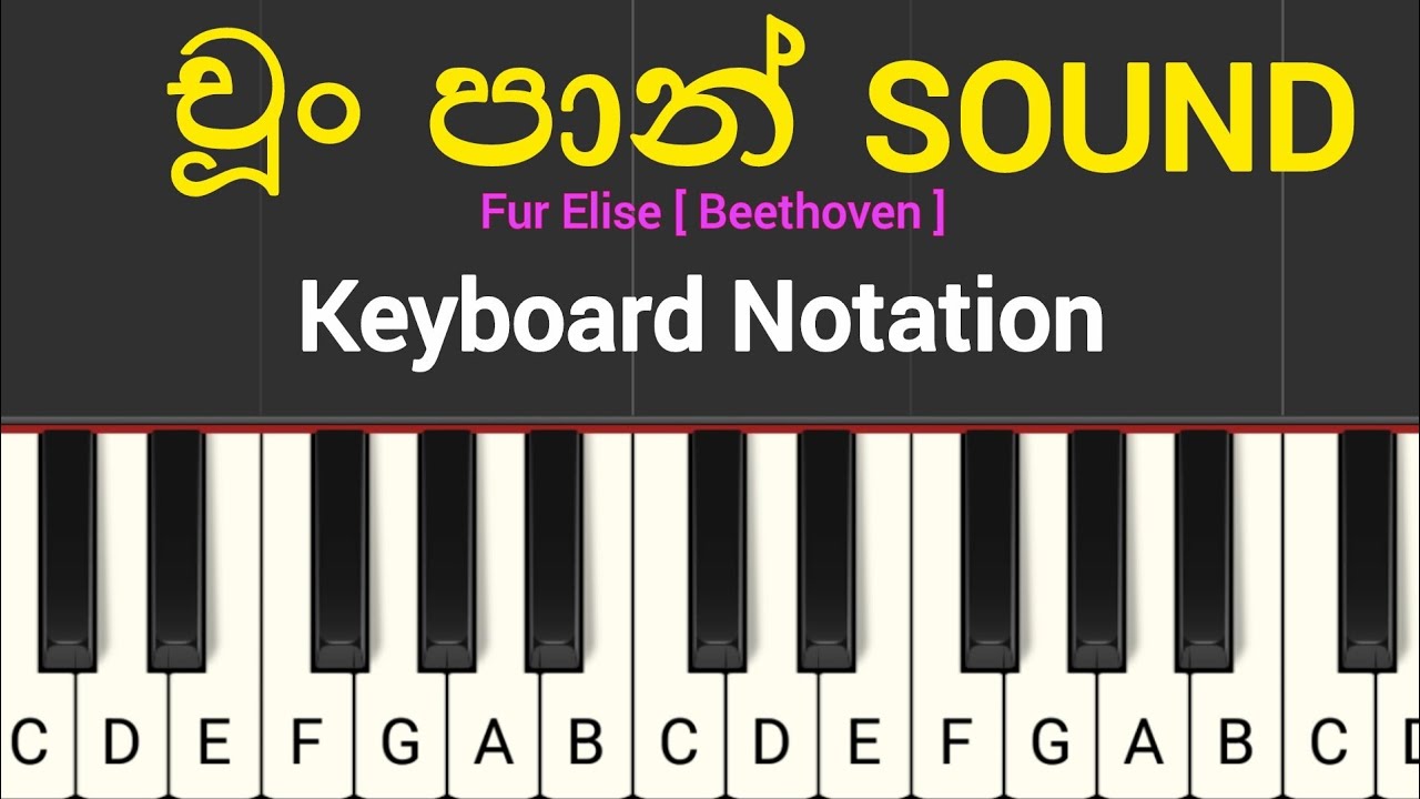 Beethoven - Fur Elise ( චූං පාන් Music ) | Keyboard Notation | Vibe With Music 