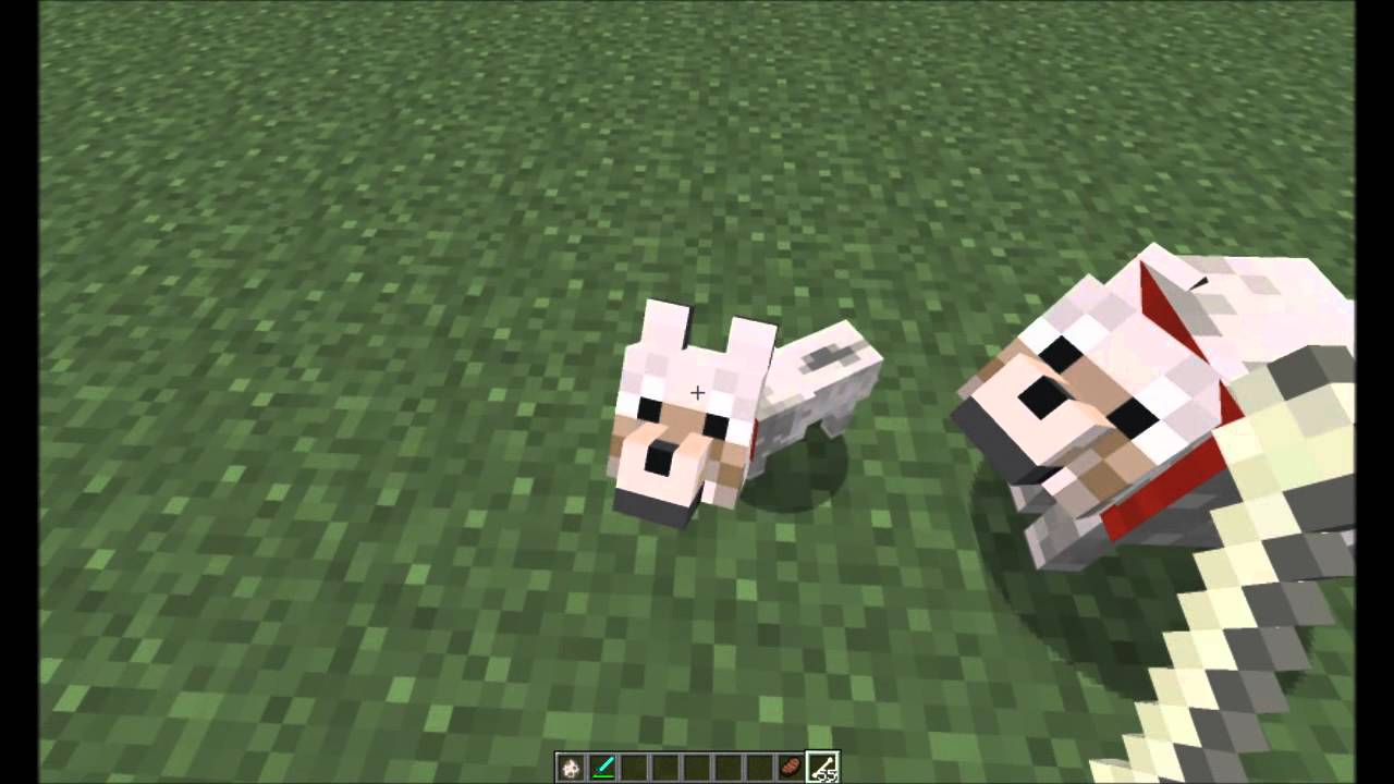 Minecraft - How to Breed Wolves in Pre-Release 12w03a (1.2+)