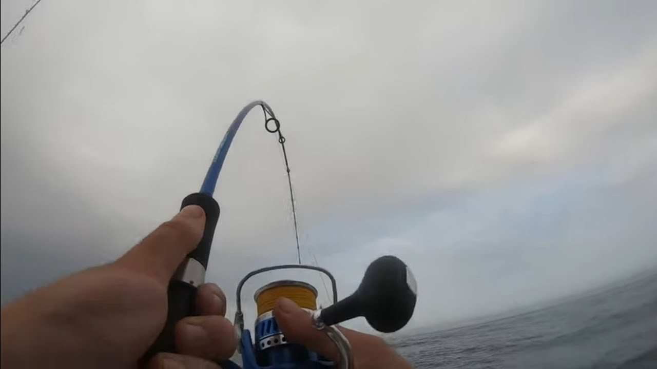 Hooking my Biggest fish of 2022.... Durban No1
