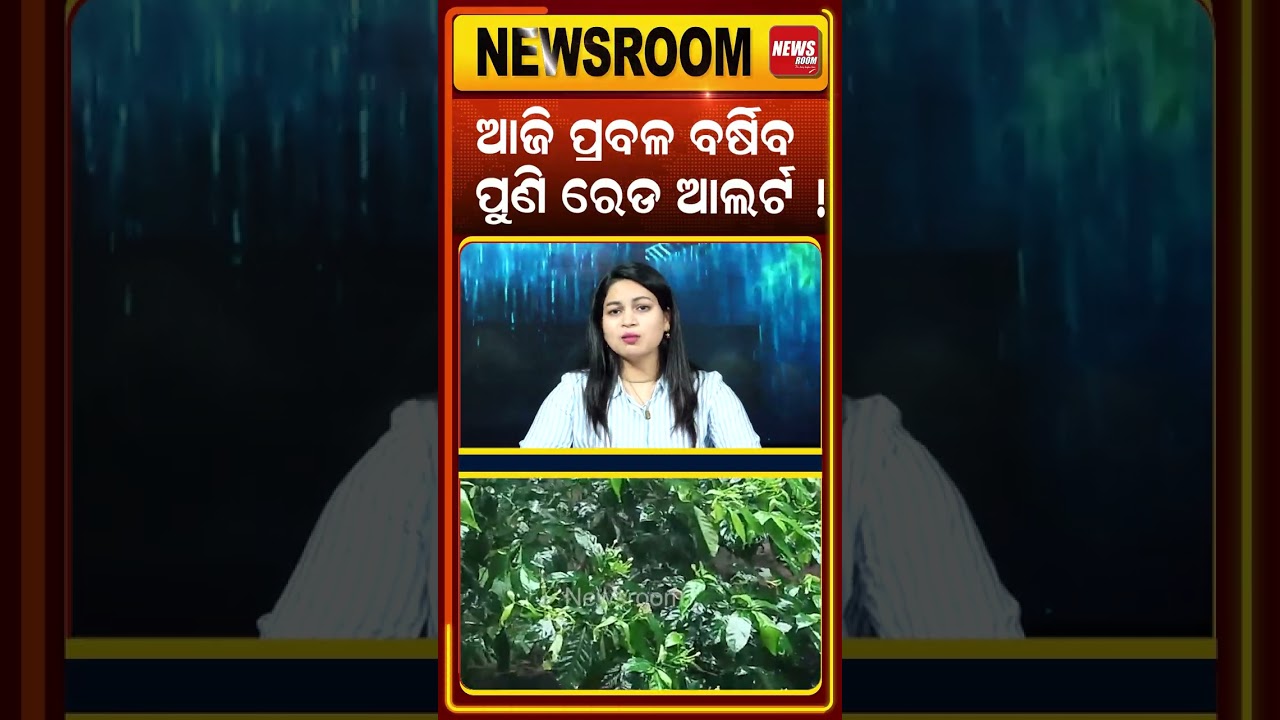 ଓଡ଼ିଶାରେ ବର୍ଷାର ତାଣ୍ଡବ ! Heavy Rain Alert | low pressure |Odisha Weather| weather news |Odia News