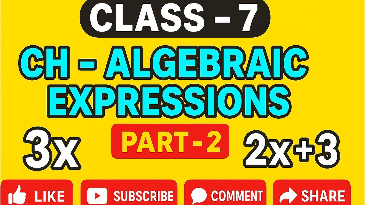Class 7 Math - Algebraic Expressions | Part - 2 | Factor & Coefficient