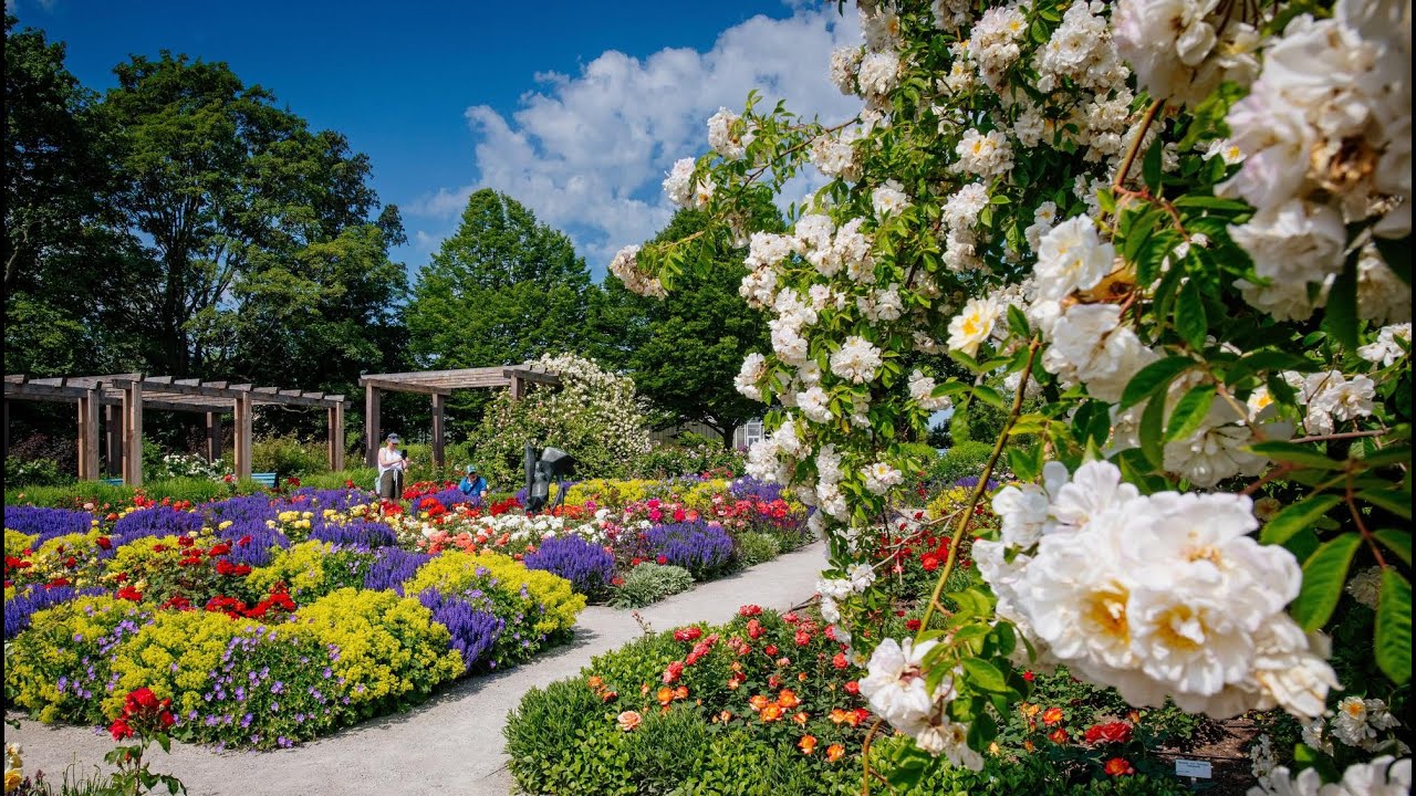 egapark Erfurt - Park, Blütenmeer und Erlebniswelt – mitten im Herzen Thüringens