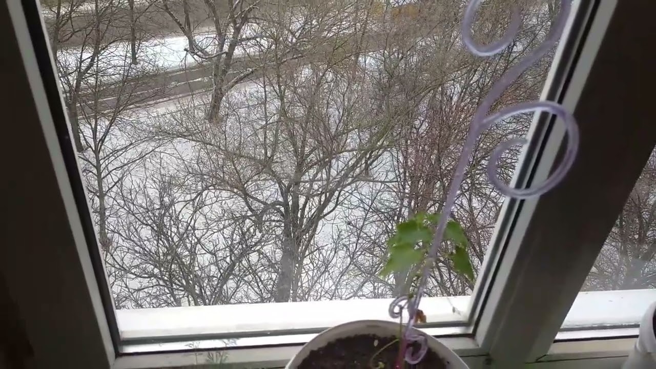 ЗАПОРОЖЬЕ ЕЛЕ НАШКРЕБУ ПО СУСЕКАМ 18.02.26