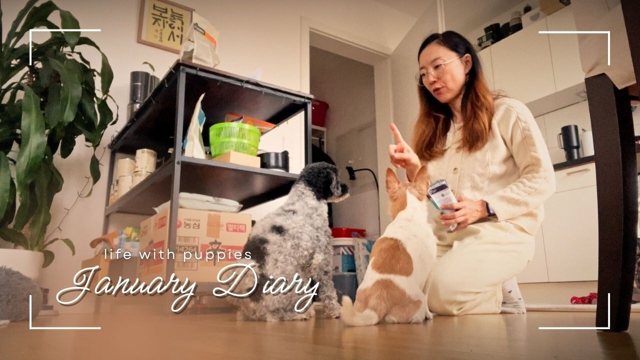 VLOG l january diary