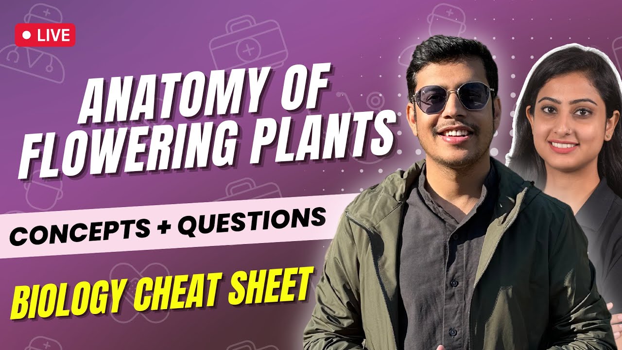 Anatomy of Flowering Plants | Concepts + Questions | Biology Cheat Sheet | NEET 2024