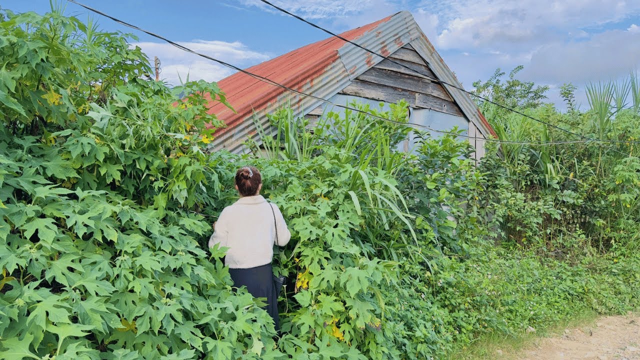 Спустя 13 лет она вошла в свой старый дом — и была потрясена тем, что там осталось. Часть 2