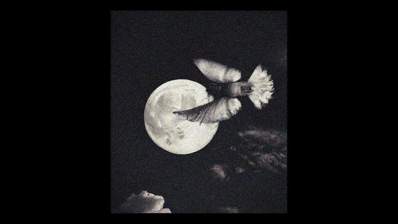 (FREE) Green Montana x Hamza Type Beat | FULL MOON