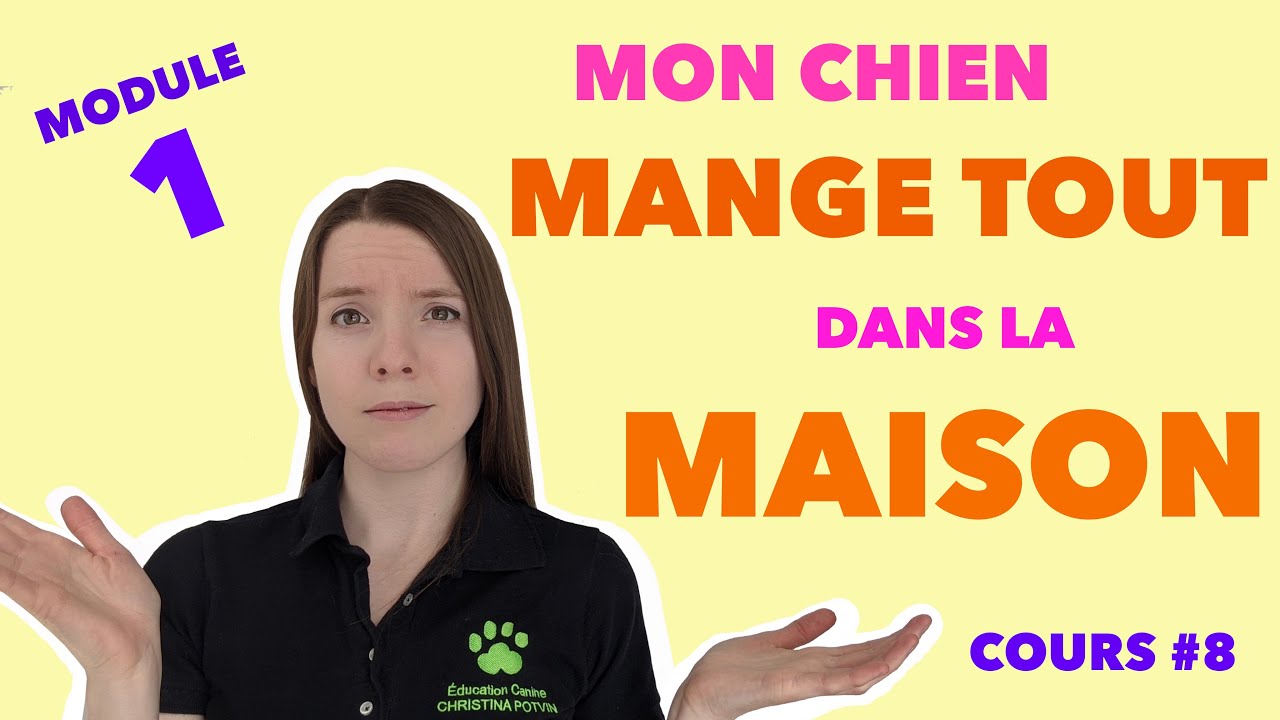 Module 1: 8- Mon chien mange tout dans la maison | EDUCATION CANINE GRATUITE AVEC CHRISTINA POTVIN