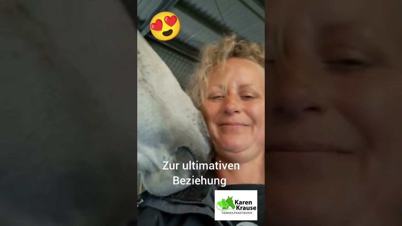 Kuschelpferd  