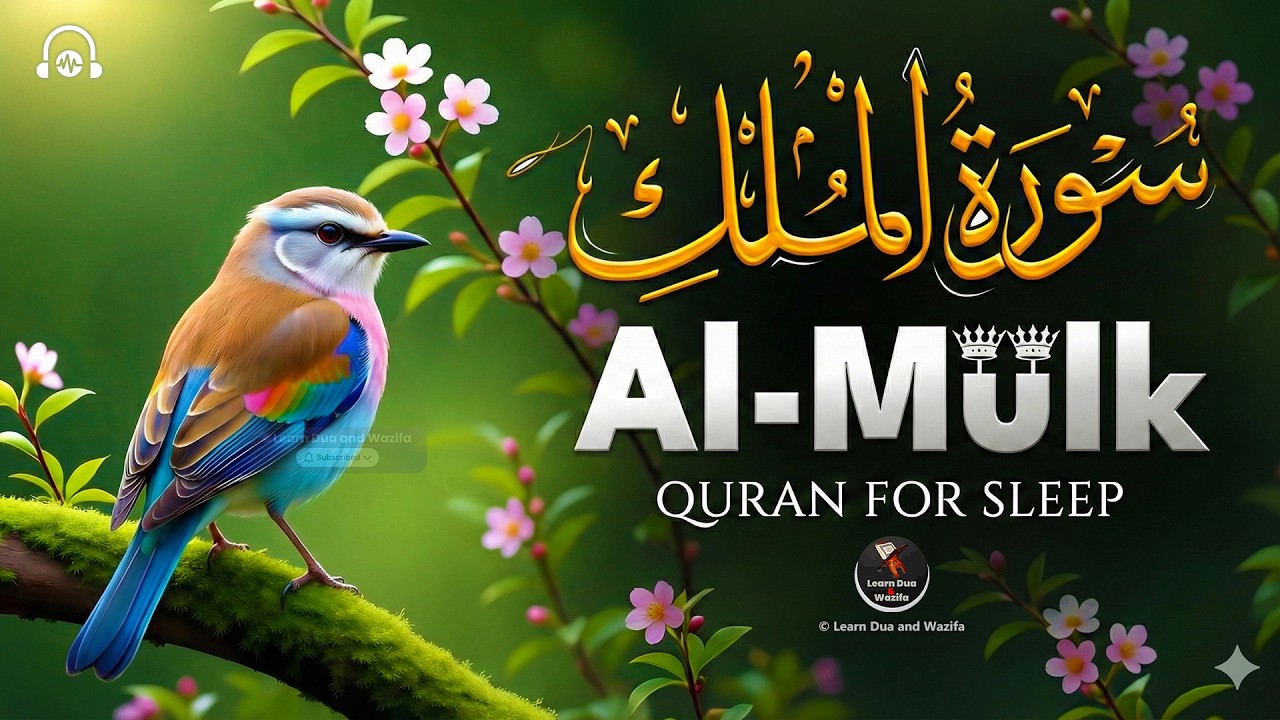 Surah Al-Mulk (سورة الملك) | Deep Calm Recitation for Restful Sleep & Faith #quranrecitation